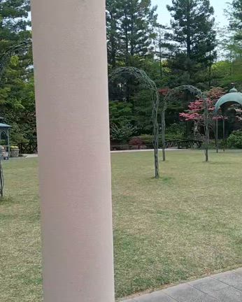明後日、お会いしましょうの記事動画