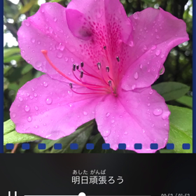歌ってみた。の画像