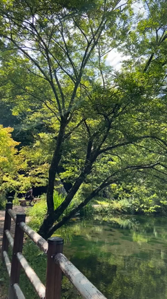 残暑お見舞い申し上げますの記事動画