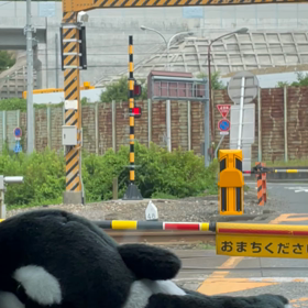 今日はナンパの日の画像