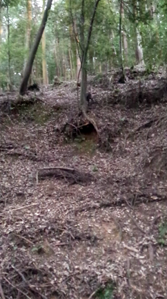 シルバーウィークの記事動画