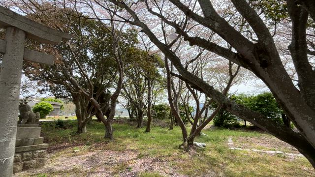 九州出張２（大分県豊後高田市臼野）　社長のブログ1194の記事動画