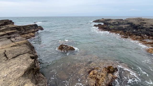 社長のブログ1118　海辺開拓　の記事動画
