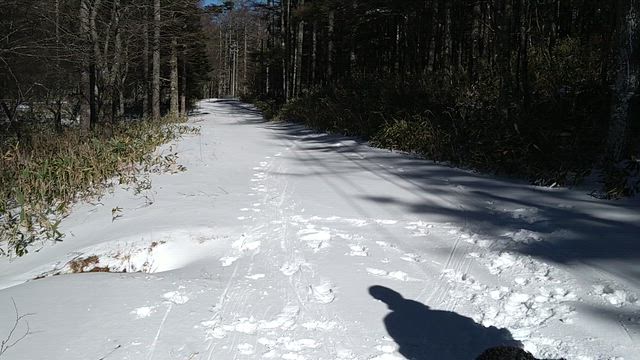 初めての雪山　1月の思い出の記事動画