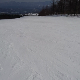 飛べるかな？の画像