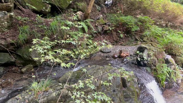 夫　プロデュース(^◇^;)の記事動画