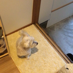 お出迎えの画像