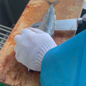 サバが切れましたの画像