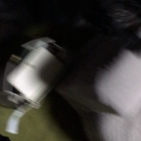 おかえり〜♪の舞【動画あり】の画像