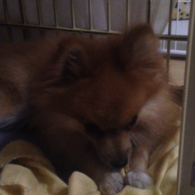 眠い時はの画像