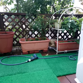 接近中の画像