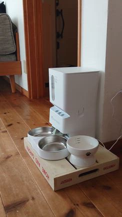 元野良猫ニャン太に導入したものの記事動画