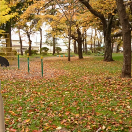 ギンガムチェックが好きの記事動画