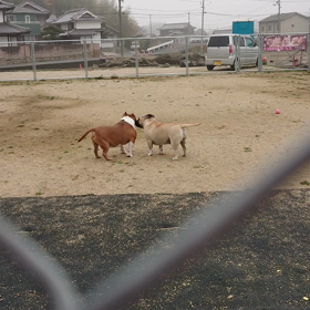 仲良し親子(*^^*)の画像