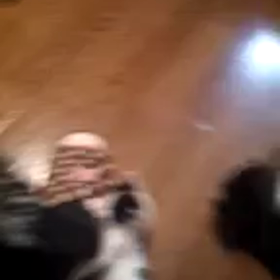 遅くなりましたがの画像