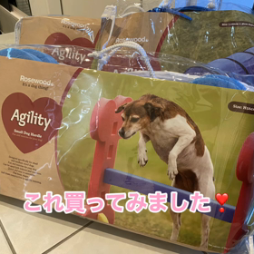自粛中に買ったもの　の画像