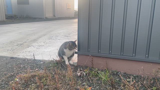 3年前の今日のことの記事動画