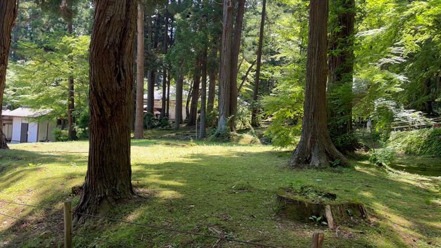 第41回ツアー「2泊3日岩手の旅」②「風」の時代は、風を感じる。〜岩手の風が教えてくれたこと〜の記事動画