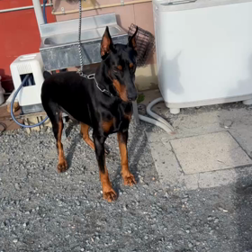 2023/12/19の画像