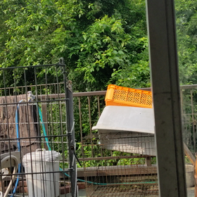 2021/07/14の画像