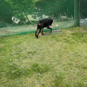 2022/05/20の画像