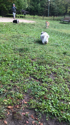 山形への記事動画