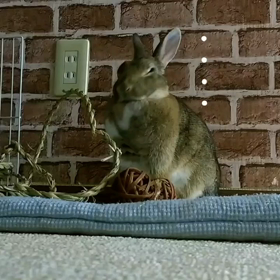 スマホってすごいのね( *^艸^)の画像