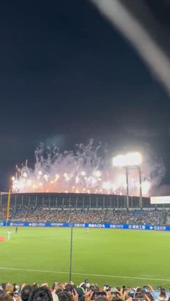 【仲良し親子で野球観戦】盛り上がる小６男子達の記事動画