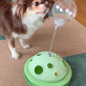 かなりワイルドの画像