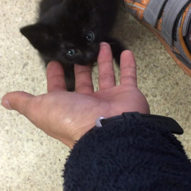 さよならの画像