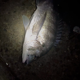 今日は大潮の画像