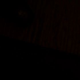 テストの画像