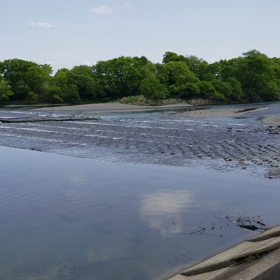 やっぱり川が好き！！の画像