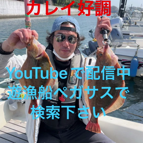 牡鹿半島で、タラの芽とアサリ採りの画像