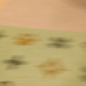 どっち？の画像