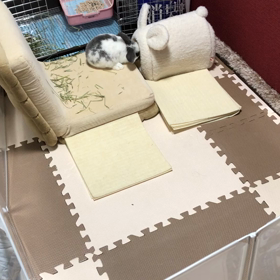 テリトリー拡大の画像