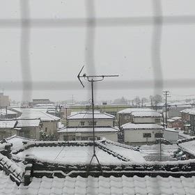 2025/01/15の画像