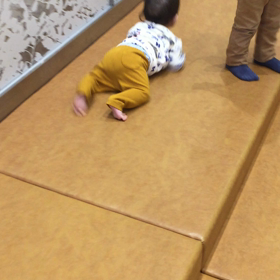 ウメの動画。の画像