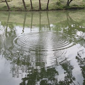 はもんの画像