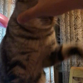 (−_−＃)の画像