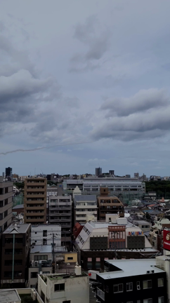 #最近撮った写真は　ブルーインパルスの記事動画