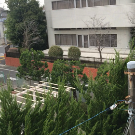 なんかいるよ‥の画像
