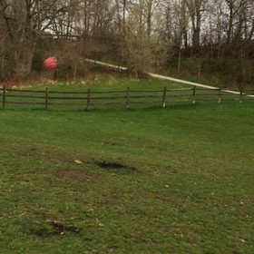 いきなりオフリーシュ(ノーリード)パークの画像