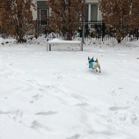 雪遊びの画像