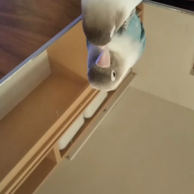 鏡の画像