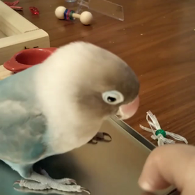 太鼓の達人の画像