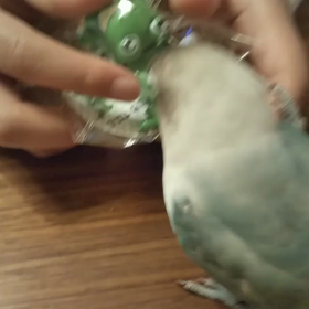 新しいオモチャの画像