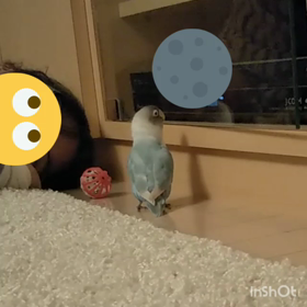 壁打ちの画像