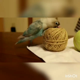 つまずいたっていいじゃないの画像