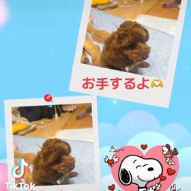 2025/07/22の画像